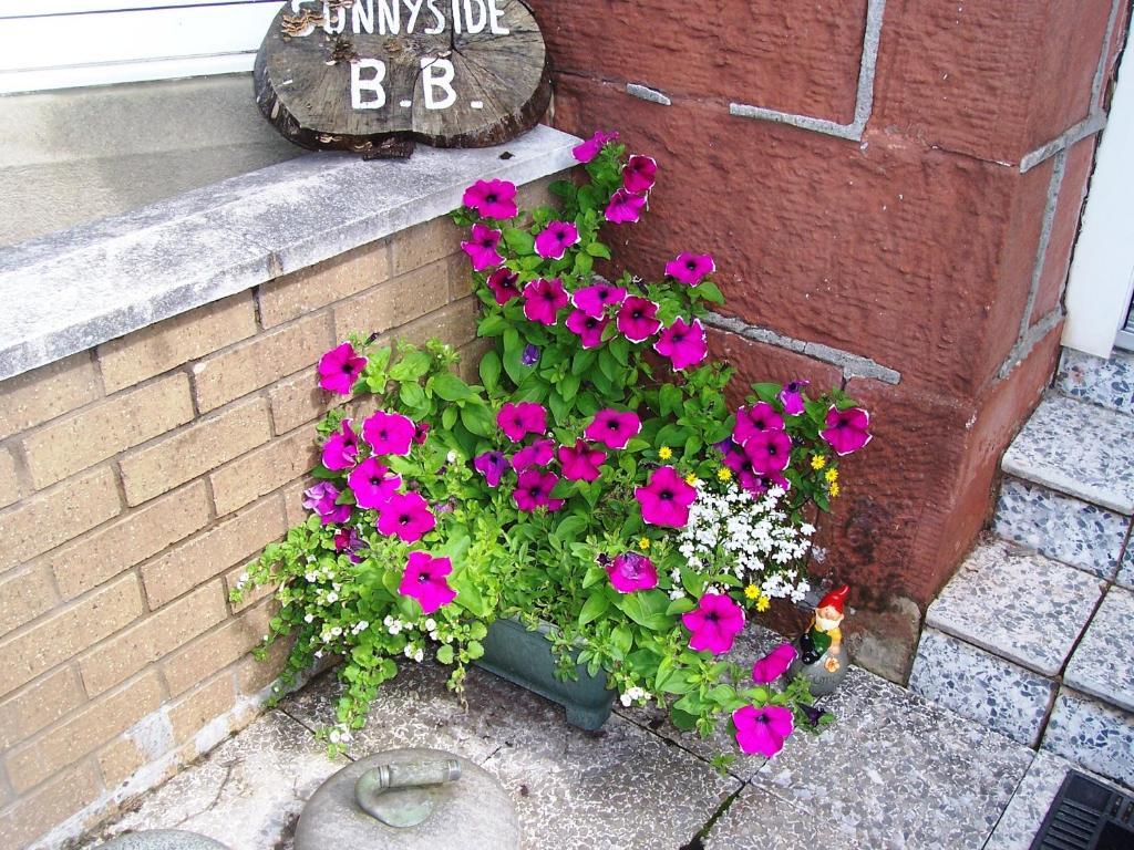Sunnyside B&B Balloch Eksteriør billede